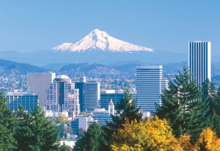 Skyline van Portland met kantoorgebouwen en bomen op de voorgrond en de besneeuwde Mount Hood in de verte