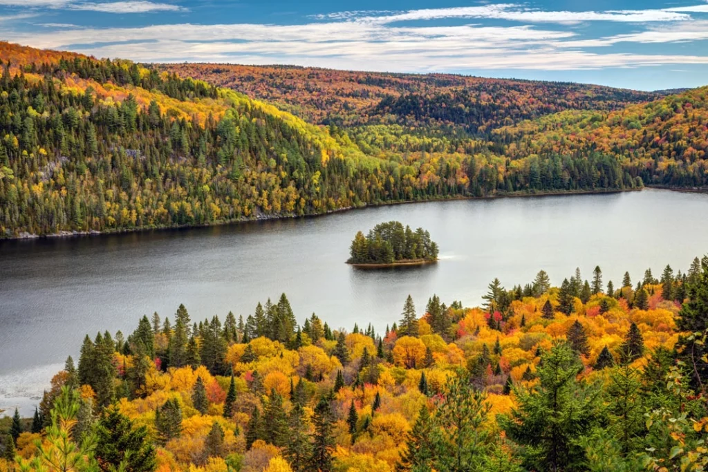 Luchtfoto van een klein beboomd eilandje midden in een meer omringd door bos in felle herfstkleuren