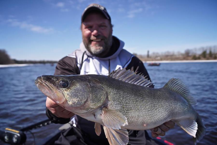 Lachende visser houdt een grote walleye vast op het water van de Rainy River in Minnesota