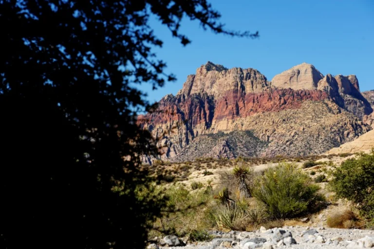 Uitzicht tussen struiken door op roodbruine en beige gestreepte rotsformaties in Red Rock Canyon nabij Las Vegas