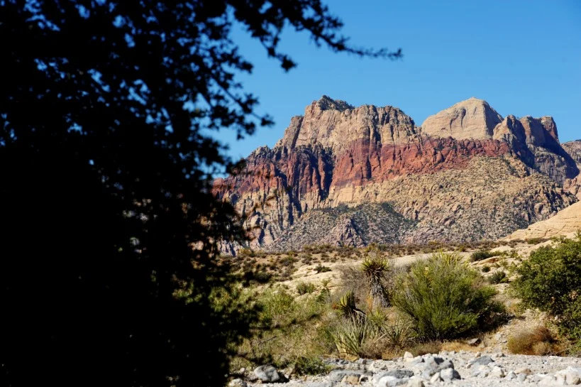 Uitzicht tussen struiken door op roodbruine en beige gestreepte rotsformaties in Red Rock Canyon nabij Las Vegas