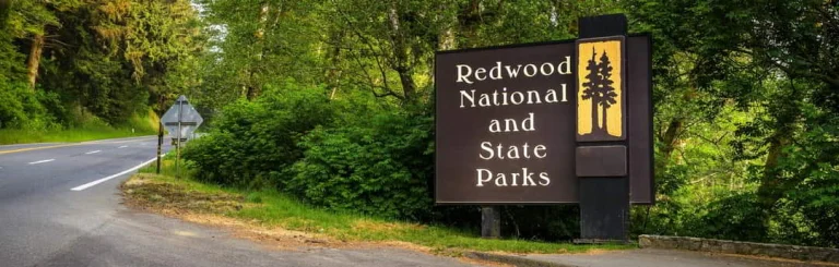 Bruin bord met de tekst Redwood National and State Parks langs een weg omringd door dicht bos