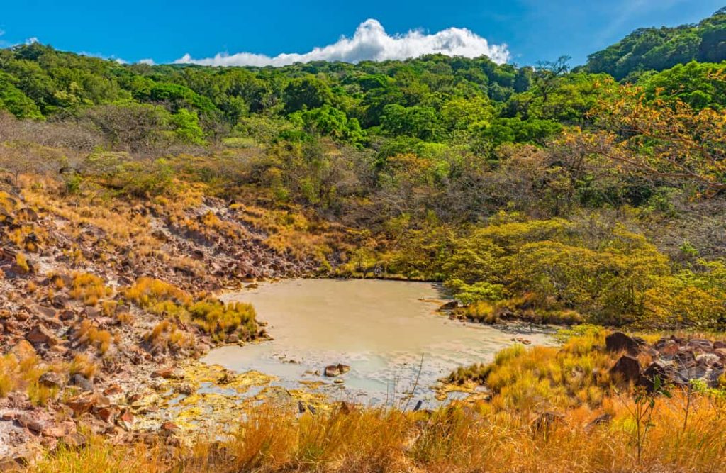 Geelbruine modderpoel tussen zwavelkleurige begroeiing in het vulkanische nationaal park Rincón de la Vieja in Costa Rica