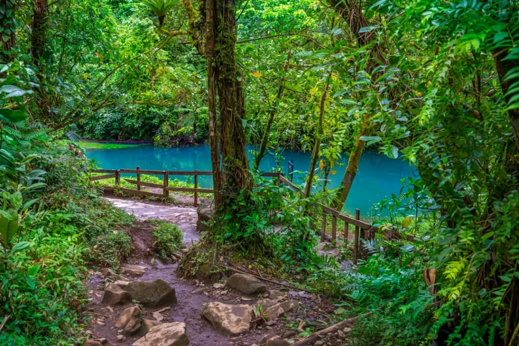 Smal onverhard pad met houten leuningen langs de turkooizen rivier Rio Celeste, omringd door dicht regenwoud in Costa Rica