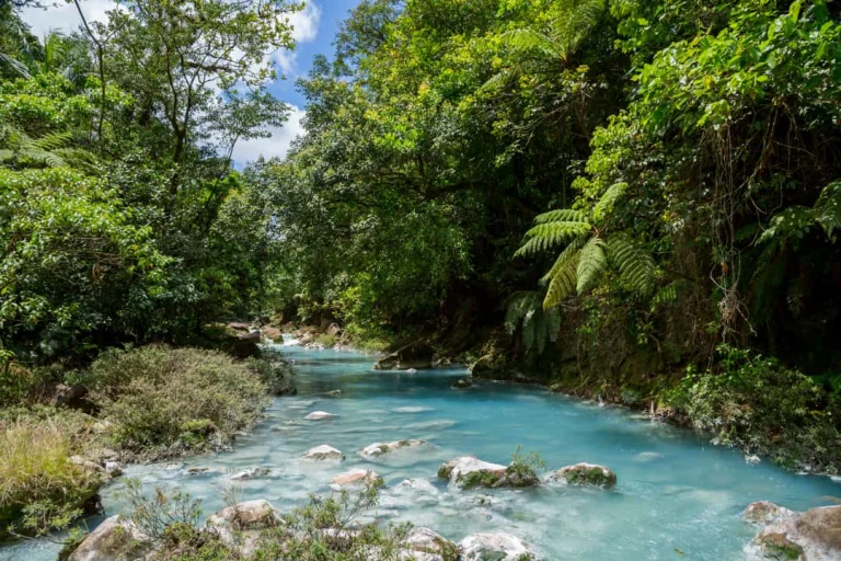 Helderblauwe rivier de Rio Celeste stroomt tussen rotsen door een weelderig groen regenwoud in Tenorio National Park