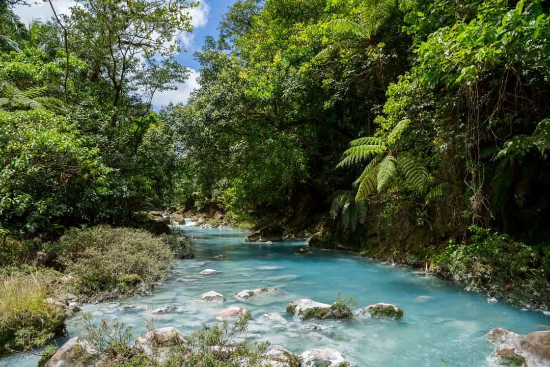 Helderblauwe rivier de Rio Celeste stroomt tussen rotsen door een weelderig groen regenwoud in Tenorio National Park