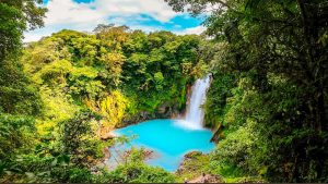 Waterval stort van een begroeide rotswand neer in een felturkooize poel, omringd door dicht regenwoud bij Rio Celeste in Costa Rica