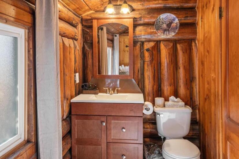 Kleine badkamer met houten wanden, een wastafel met houten kastje en een wc in een rustieke blokhut