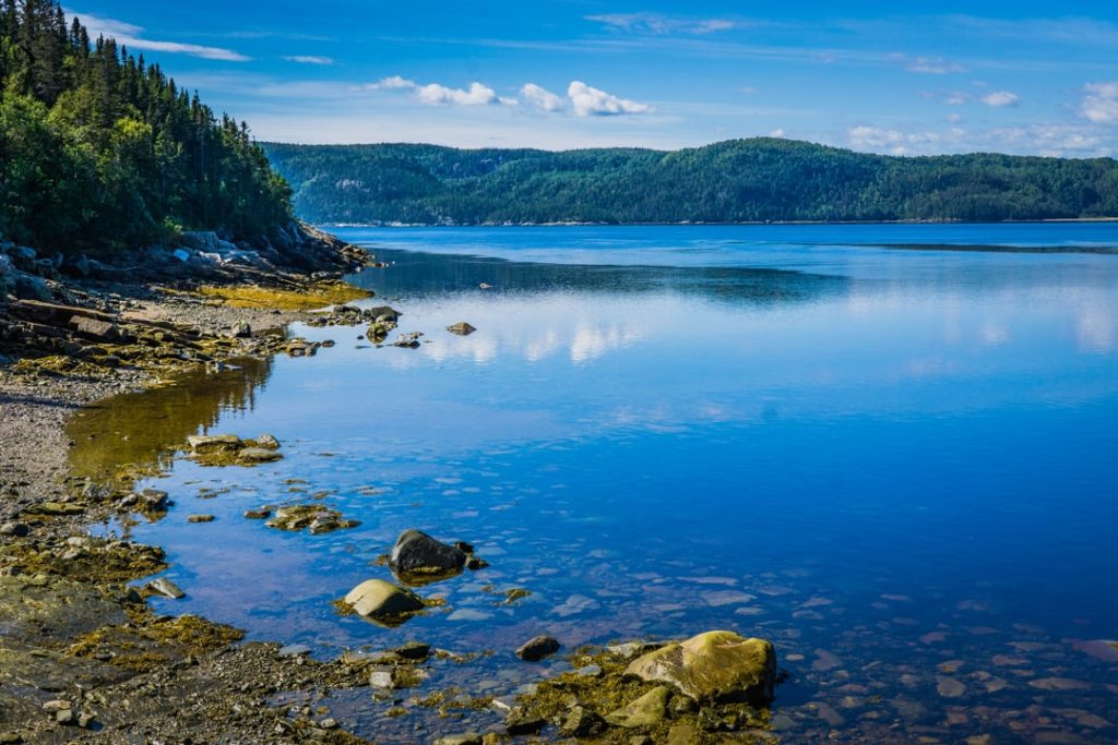 Ondiepe rotsachtige oever met begroeide stenen ligt aan het spiegelgladde water van de Saguenay-fjord