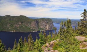 Steile beboste kliffen dalen af naar het donkere water van de Saguenay-fjord onder een blauwe lucht
