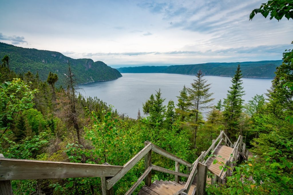 Houten trap tussen groene begroeiing leidt naar een uitkijkpunt met zicht op de brede Saguenay-fjord