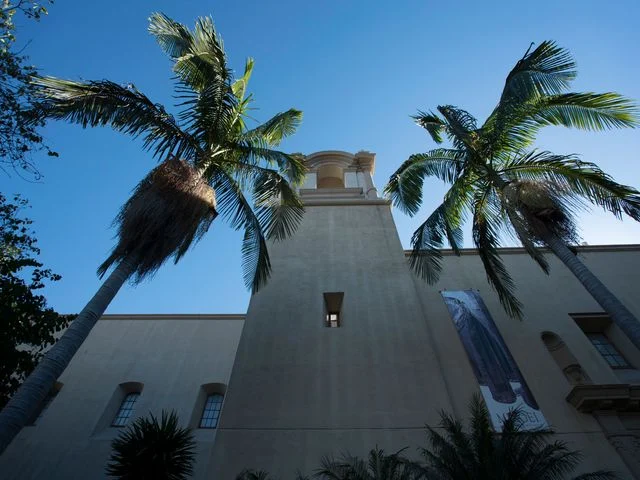 Blik omhoog naar een sierlijke toren tussen hoge palmbomen bij een gebouw in Balboa Park in San Diego