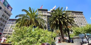 Historisch hotelgebouw met vlaggen steekt uit boven palmbomen op Union Square in San Francisco