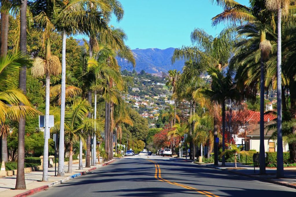 Brede straat met rijen hoge palmbomen aan weerszijden en woonhuizen tegen een bergachtergrond in Santa Barbara