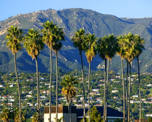 Rij hoge palmbomen voor glooiende heuvels vol huizen met een ruige bergketen op de achtergrond in Santa Barbara