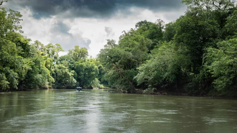 Een klein bootje vaart over de kalme, groenbruine rivier de Sarapiquí, omgeven door dicht tropisch regenwoud onder een bewolkte lucht