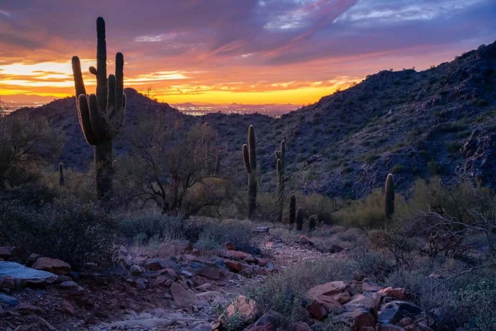 Zandpad tussen saguarocactussen en struiken in McDowell Sonoran Preserve met een gloeiende zonsondergang boven de heuvels van Scottsdale