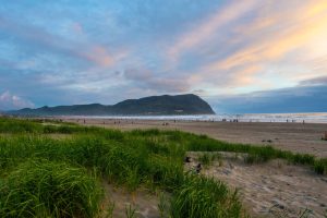 Grassprieten van duingras op de voorgrond met een breed zandstrand en een beboste kaap in de verte tijdens zonsondergang in Oregon