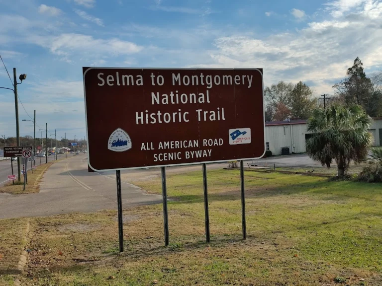 Bruin informatiebord van de Selma to Montgomery National Historic Trail langs een weg in Selma, met palmboom en gebouwen op de achtergrond