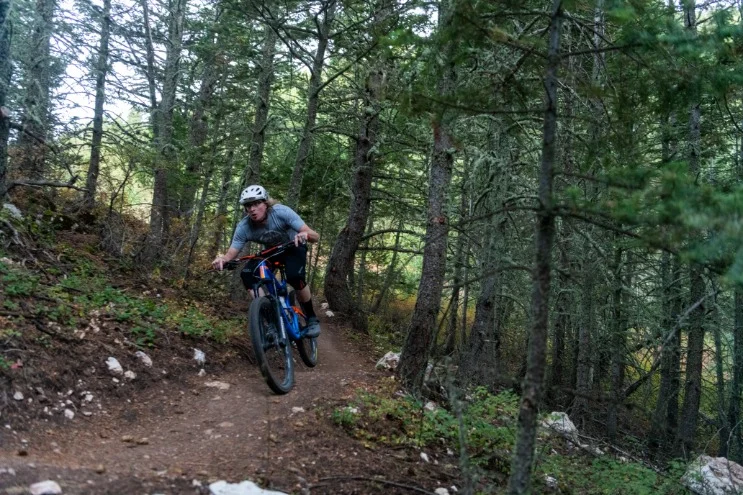 Mountainbiker met helm daalt af over een stenig bospad tussen dichte naaldbomen