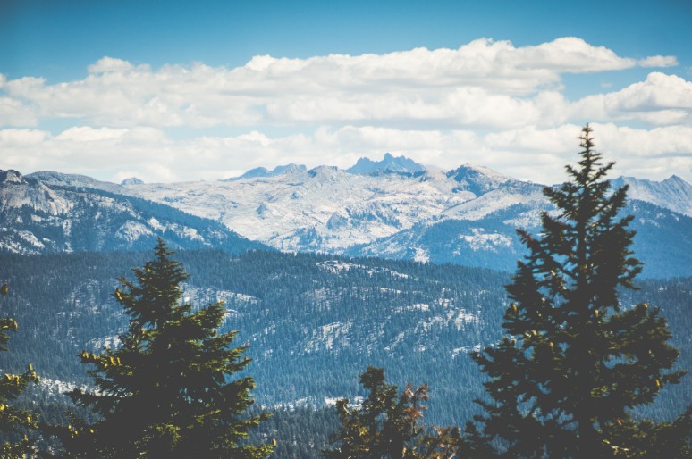 Rij besneeuwde bergtoppen in de verte, gezien tussen de takken van dennenbomen op de voorgrond onder een bewolkte lucht
