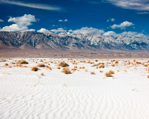 Golvend wit zand met droge struiken en op de achtergrond een hoge bergketen van de Sierra Nevada