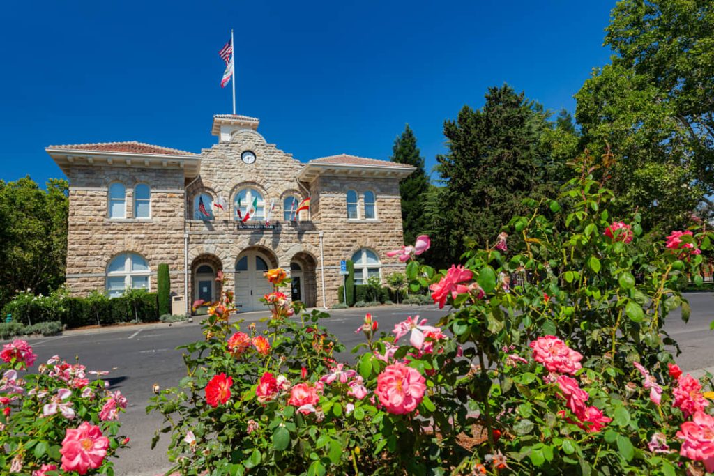 Historisch stenen stadhuis met klokkentoren en Amerikaanse vlag, met bloeiende roze rozenstruiken op de voorgrond in Sonoma