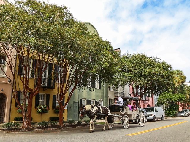 Een paard met koets vol toeristen rijdt door een straat met kleurrijke historische huizen in South Carolina
