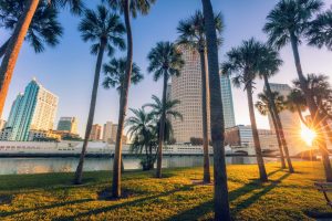 Hoge palmbomen in een park langs de rivier met de skyline van Tampa op de achtergrond bij zonsondergang