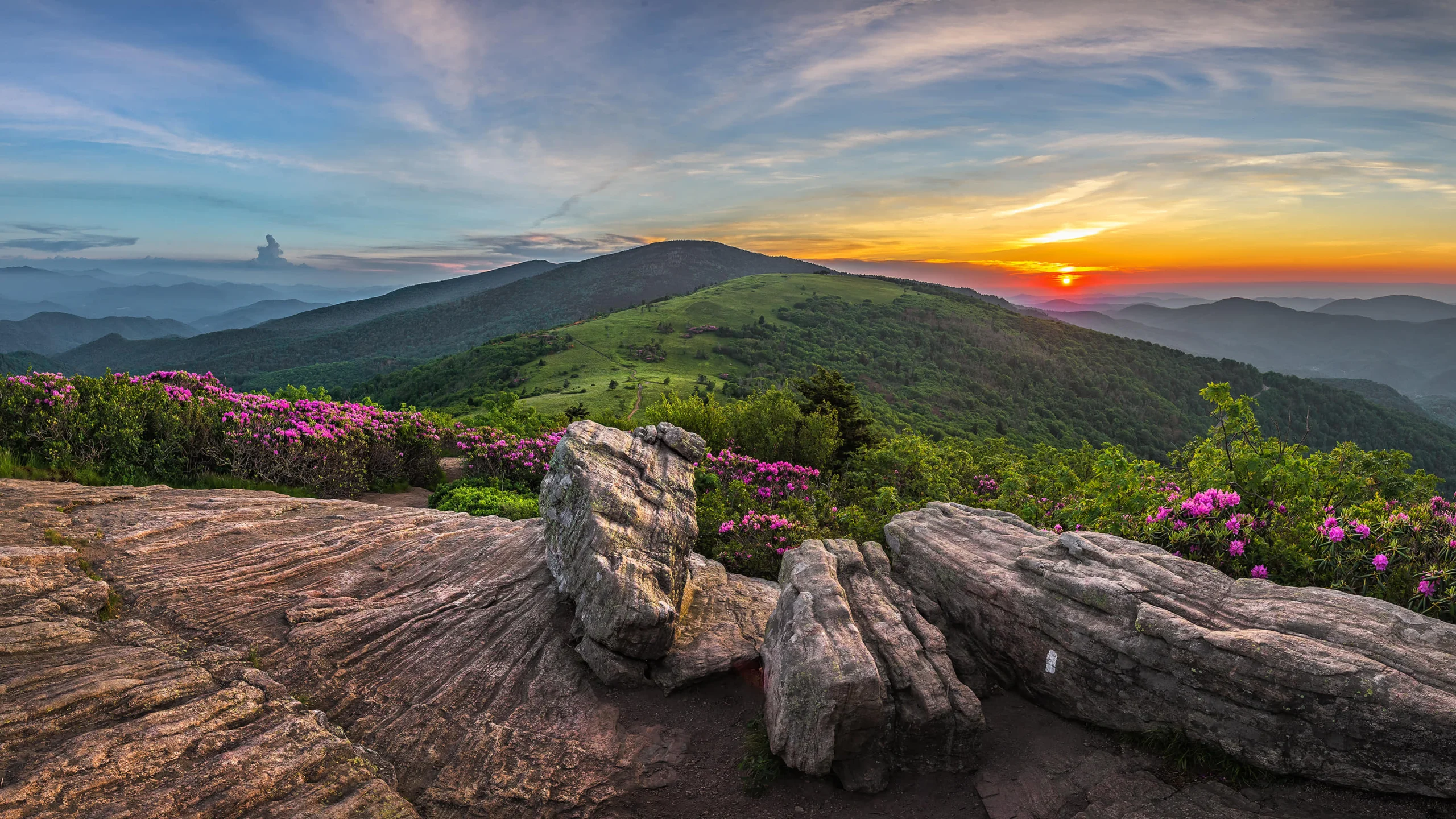 Uitzicht vanaf een rotsachtige top met paarse rododendrons over glooiende groene bergen tijdens een kleurrijke zonsondergang in Tennessee