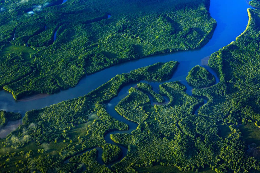 Luchtfoto van een blauwe rivier die in bochten door uitgestrekte groene mangrovebossen slingert bij Térraba-Sierpe in Costa Rica