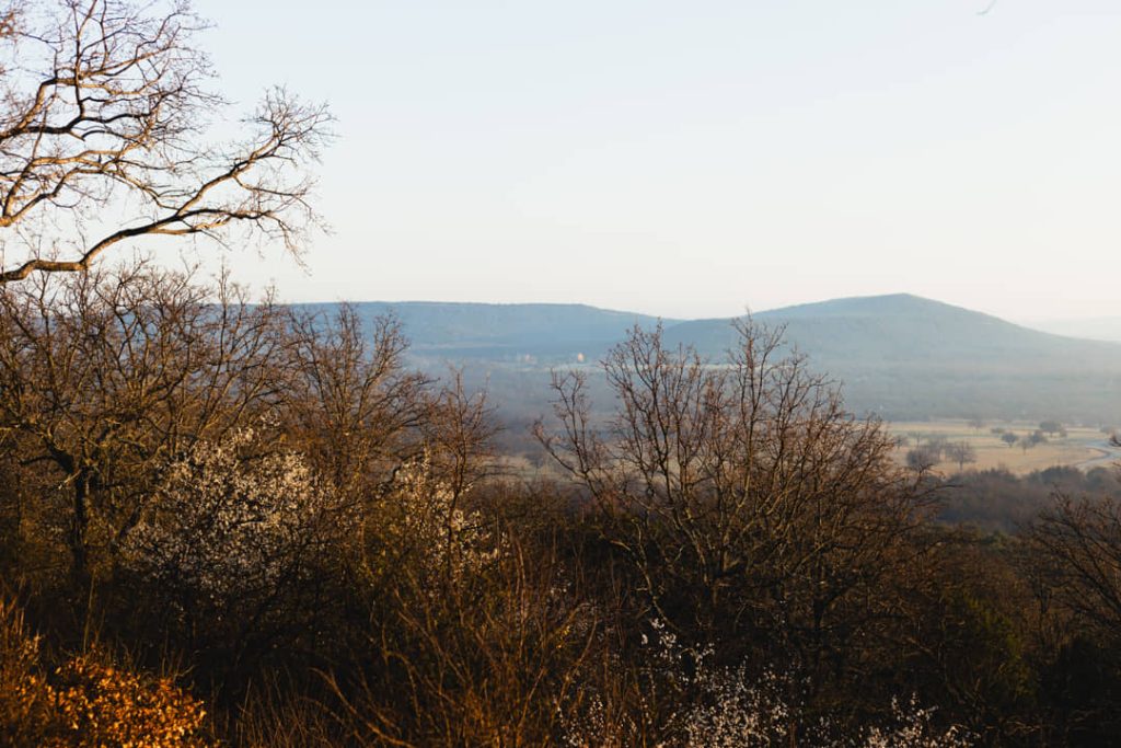 Glooiende heuvels in de mist gezien tussen de kale takken van bomen met wat bloesem op de voorgrond