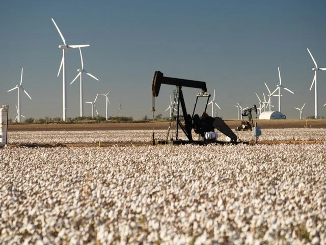 Een zwarte oliepomp staat te midden van een uitgestrekt katoenveld terwijl op de achtergrond talloze windturbines draaien in Texas