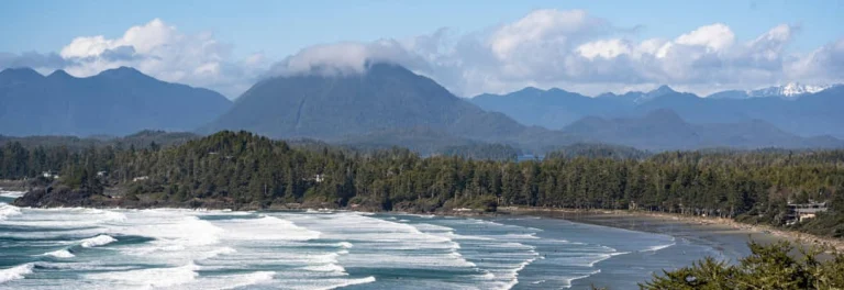 Panoramisch uitzicht op de kust bij Tofino met schuimende golven, een breed strand, dichte bossen en besneeuwde bergen aan de horizon