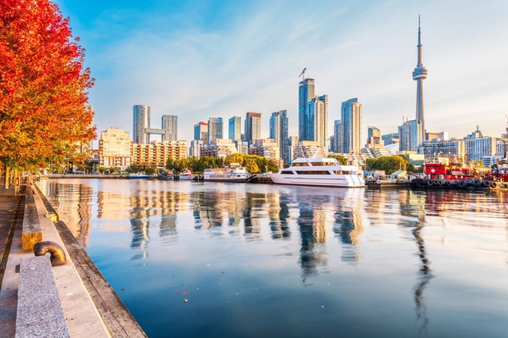 Wolkenkrabbers en de CN Tower van Toronto weerspiegeld in het water, met een wit jacht afgemeerd en een felrode herfstboom op de kade