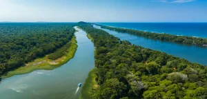 Luchtfoto van een breed kanaal met een bootje dat tussen dicht regenwoud van Tortuguero richting de kustlijn en de oceaan vaart