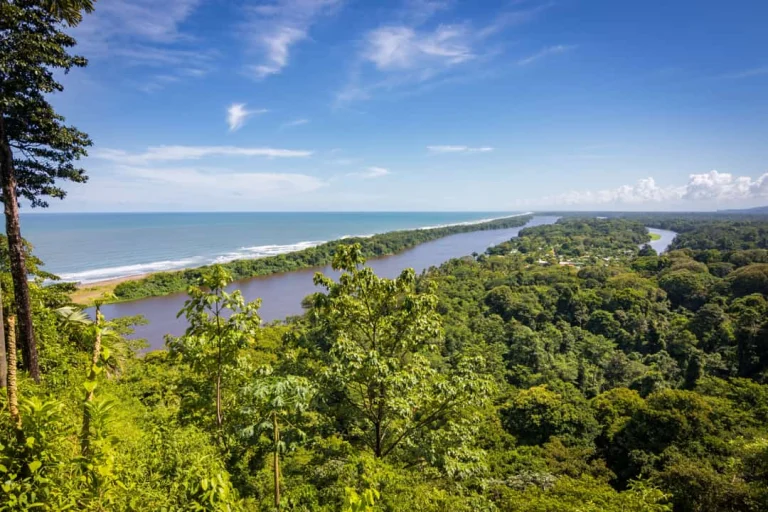 Panoramisch uitzicht vanaf een heuvel over het groene regenwoud, een kronkelende rivier en de kust bij Tortuguero