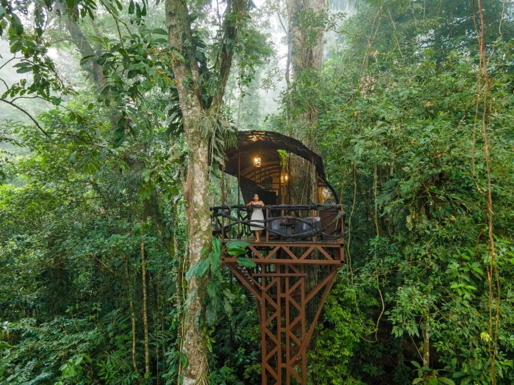 Treehouse bij Maquenque Ecolodge