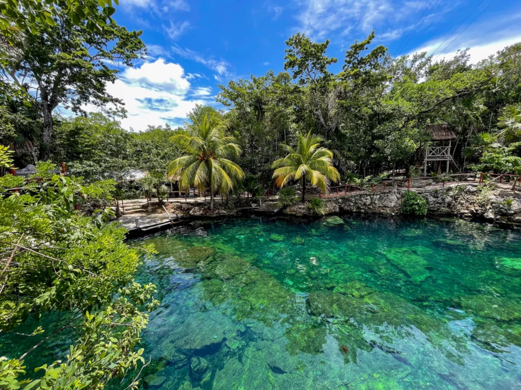 Een cenote met helder groenblauw water omringd door palmbomen en dicht groen bij Tulum