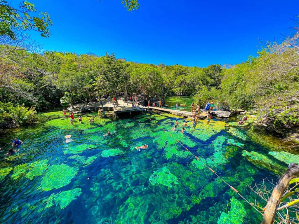 Mensen zwemmen en springen in een cenote met helder groen water, omringd door dicht bos en een houten steiger bij Tulum