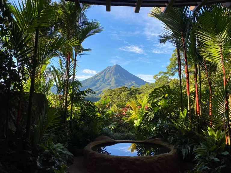 De Arenal-vulkaan gezien tussen palmbomen door, met een infinity pool op de voorgrond