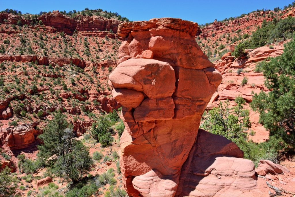 Vrijstaande rode rotszuil met een grillige vorm die aan een gezicht doet denken, tussen struiken in een canyon