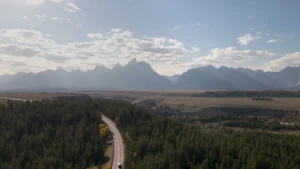 Een asfaltweg slingert door dennenbos met de bergketen van de Grand Tetons in de verte
