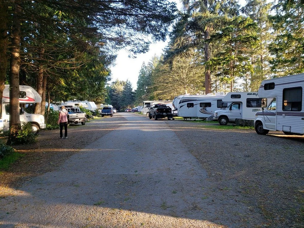 Een rustige camperplaats op Vancouver Island met verschillende campers geparkeerd tussen hoge dennenbomen langs een grindpad