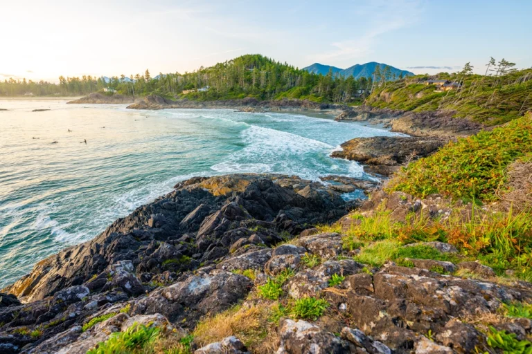 Rotsachtige kust van Vancouver Island met schuimende golven, groene begroeiing en bergen op de achtergrond