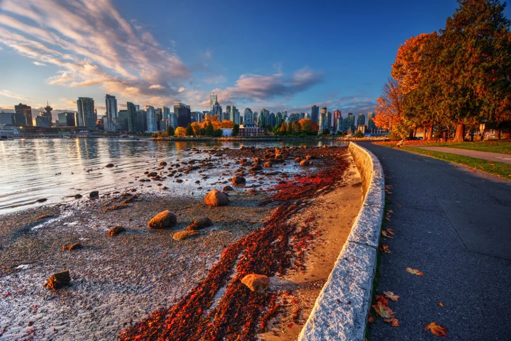Wandelpad langs een rotsachtig strand met herfstbomen loopt richting de wolkenkrabbers van Vancouver bij zonsopkomst