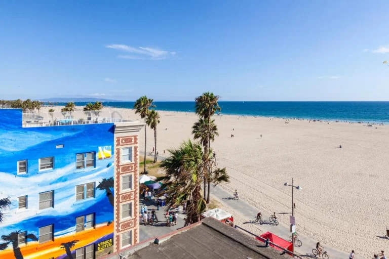 Uitzicht vanaf hoogte over het strand en de oceaan met een beschilderde gevel en palmbomen op de voorgrond bij Venice Beach