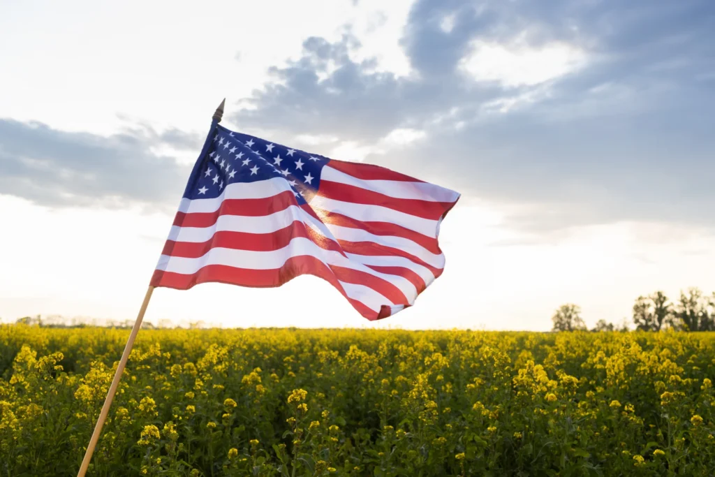 Amerikaanse vlag aan een houten stok wappert boven een geel bloeiend veld met een bewolkte lucht bij zonsondergang