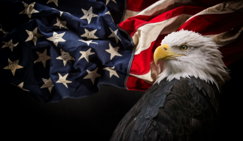 Close-up van een Amerikaanse zeearend met witte kop voor een golvende Amerikaanse vlag tegen een donkere achtergrond