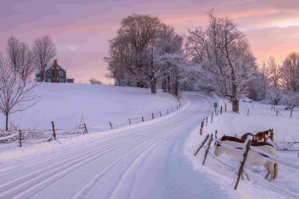 Een met sneeuw bedekte landweg in Vermont slingert langs een hek met paarden naar een grijze boerderij onder een roze avondlucht